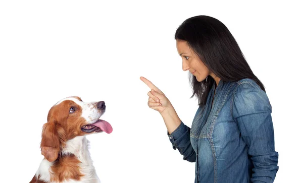 Mujer Regañando Señalando Con Dedo Índice Perro —  Fotos de Stock