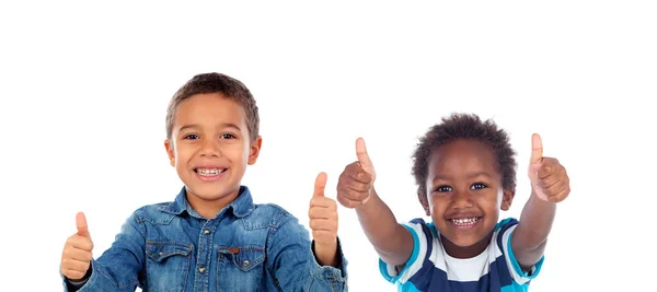 Beautiful Children Looking Camera Isolated White Background — 스톡 사진