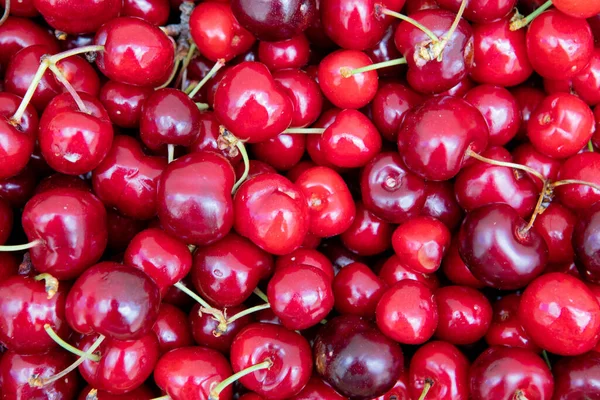 Fresh Organic Berries Macro Fruit Background — Stock Photo, Image