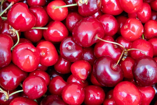 Fresh Organic Berries Macro Fruit Background — Stock Photo, Image