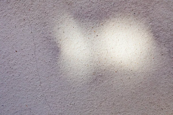 Grijze Schaduw Van Bladeren Een Witte Muur Abstract Neutraal Natuur — Stockfoto