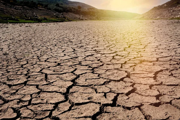 Concepto Calentamiento Global Grietas Secas Tierra Grave Escasez Agua Concepto —  Fotos de Stock