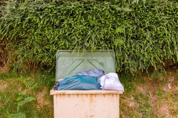 Garbage Container Full Bags Next Wall Climbing Plants — Foto Stock