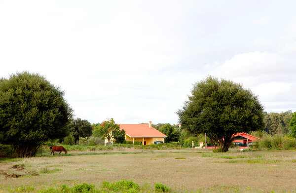 Country landscape with a horse and houses