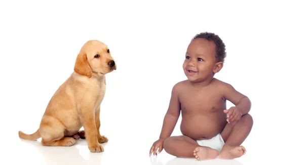 Afrikansk baby och labrador valp — Stockfoto