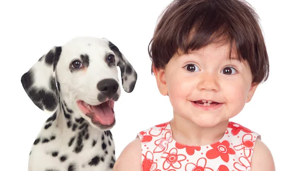 Bambino divertente con cane dalmata — Foto Stock