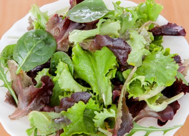 Farklı türlerde salata