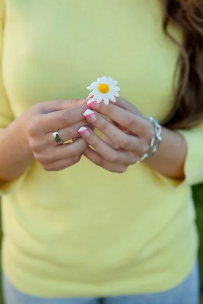 Female hands holding a daisy — Stock Photo, Image