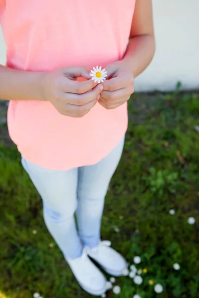 Les mains tenant une belle marguerite — Photo