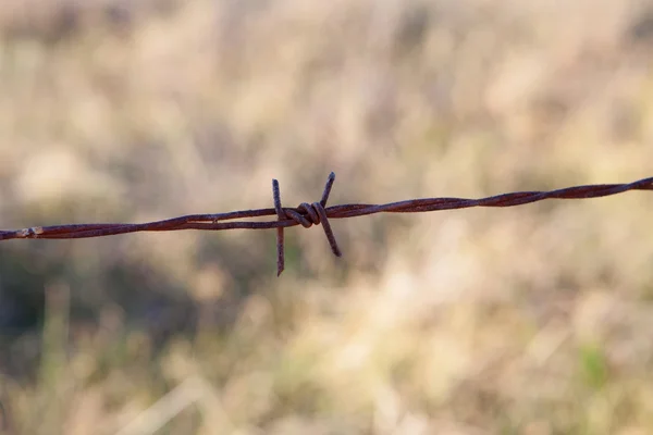 Detalhe de uma cerca de metal enferrujado — Fotografia de Stock