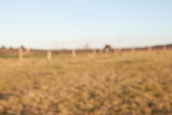 Campo desenfocado tonos marrones — Foto de Stock