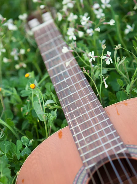 Çimenlerin üzerinde klasik gitar — Stok fotoğraf