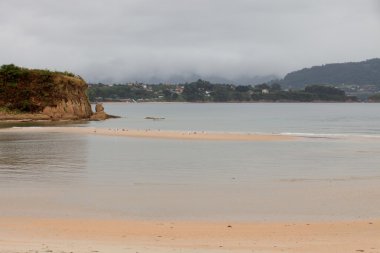 Martılar kumlu bir adacık üzerinde