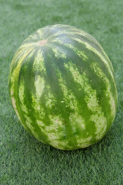 Juicy green watermelon — Stock Photo, Image