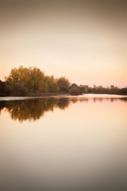 Bir Nehri boyunca ağaçlar