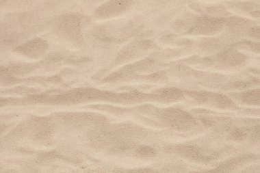 Sand beach with waves clipart