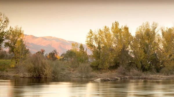 Arbres le long des rives d'une rivière — Photo