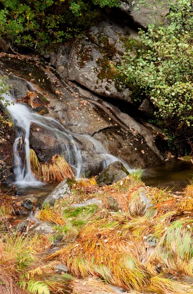 Small waterfall in the forest — Stock Photo, Image