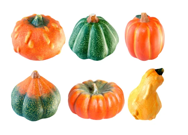 Six citrouilles différentes — Photo