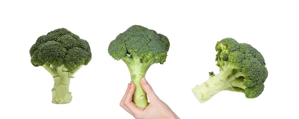 Vrouw bedrijf broccoli — Stockfoto