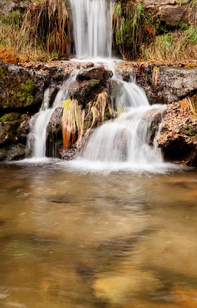 Bella cascata nella foresta — Foto Stock