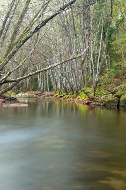 Nehirli sonbahar manzarası