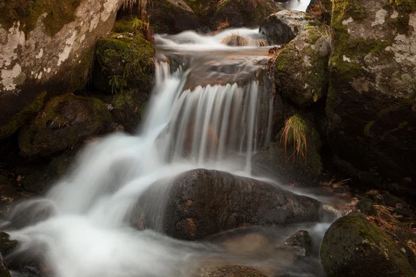 Cascade tombant sur une pierre avec de la mousse — Photo