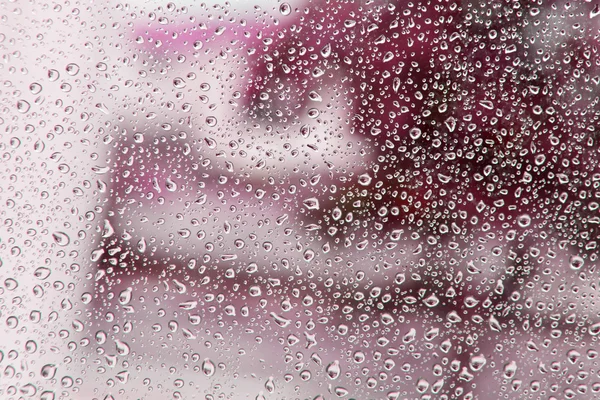 Wet glass with drops of rain — Stock Photo, Image