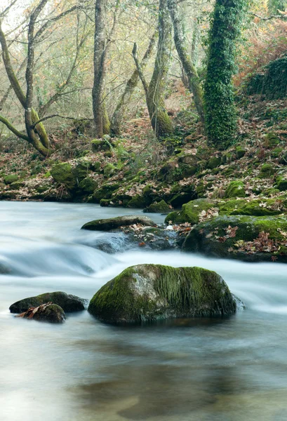 Höstlandskap med en flod — Stockfoto