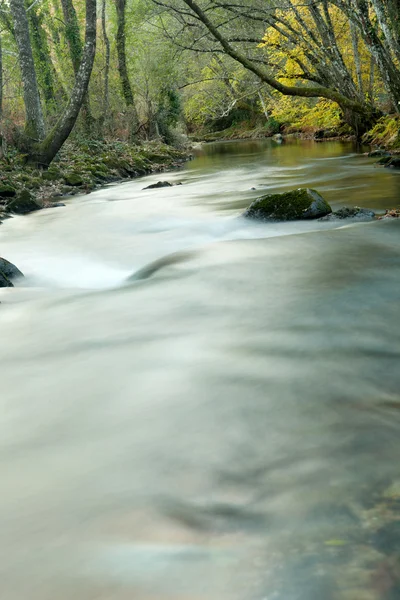 Podzimní krajina s řekou — Stock fotografie