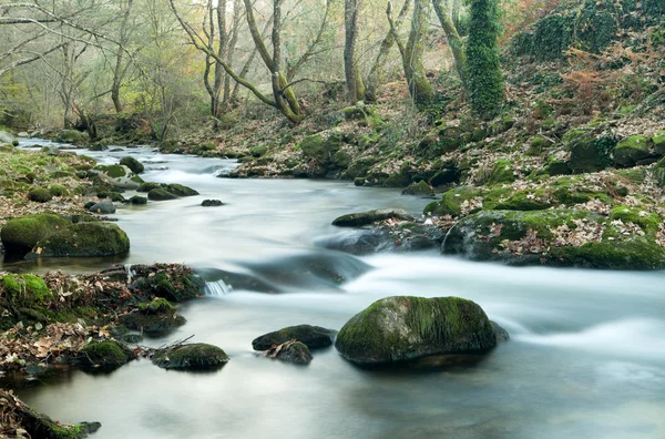 Paisaje otoñal con río — Foto de Stock