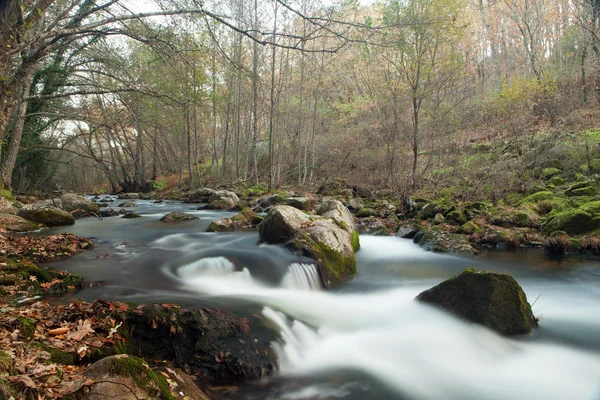 Paisagem de outono com um rio — Fotografia de Stock