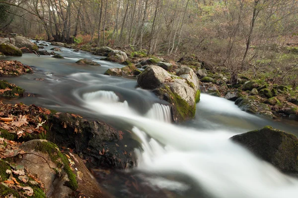 Paesaggio autunnale con un fiume — Foto Stock