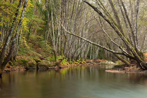 Paysage d'automne avec une rivière — Photo