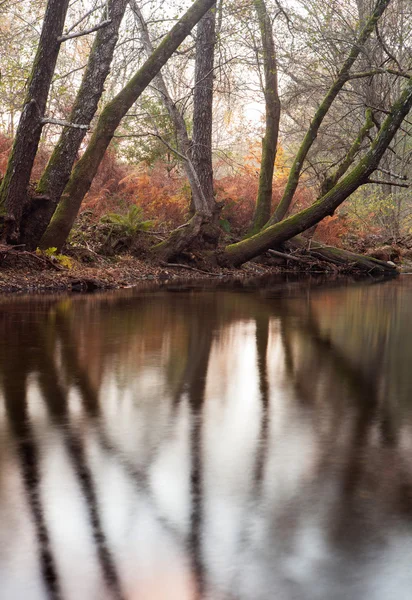 Paesaggio autunnale con un fiume — Foto Stock