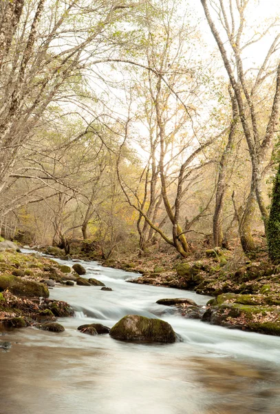 Herbstlandschaft mit einem Fluss Stockfoto