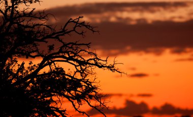 Turuncu renkli güzel gün batımı