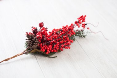 Kırmızı meyveler Şubesi