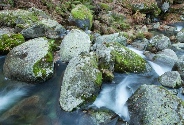 Řeka a velké kameny s mechem — Stock fotografie