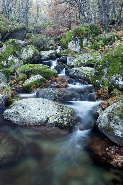 Fluss und große Felsen mit Moos — Stockfoto