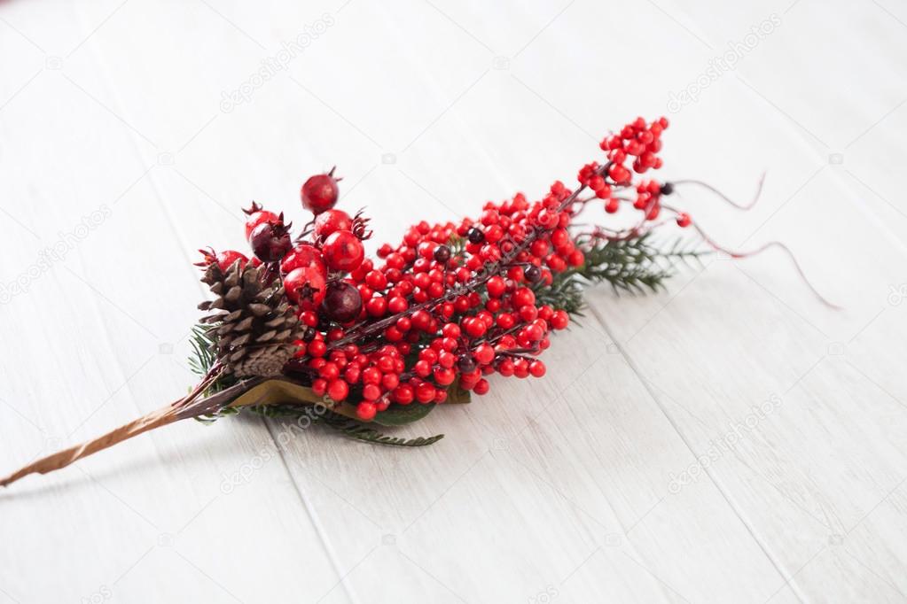 Branch of red berries