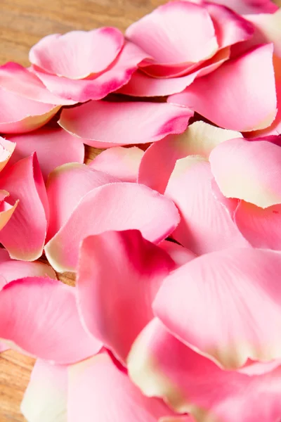 Viele rosa Blütenblätter — Stockfoto