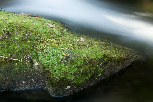 Ruscello e grande roccia con muschio — Foto Stock