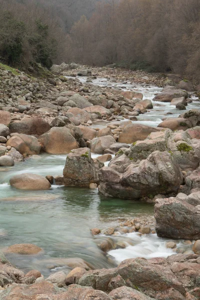 Arroyo de montaña con muchas rocas — Foto de Stock