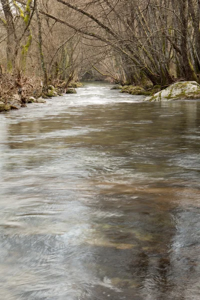 Ruisseau de montagne avec de nombreux rochers — Photo