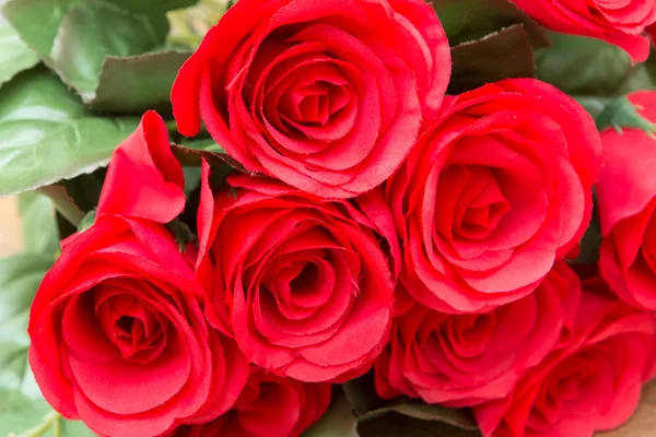 Rote Rosen zum Valentinstag — Stockfoto