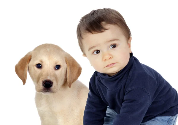 Милый малыш со своим щенком — стоковое фото