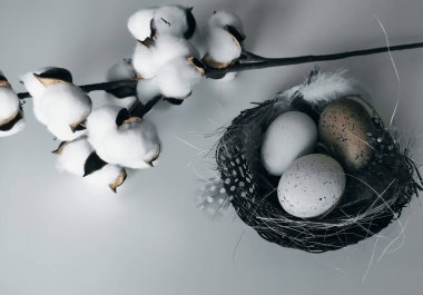 Mutlu Paskalyalar kartı, yuvada bej ve beyaz yumurtalarla yakın plan, benekli ve beyaz tüyler, saman ve pamuk çiçekleri