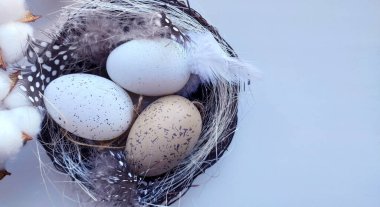 Mutlu Paskalyalar kartı, yuvada bej ve beyaz yumurtalarla yakın plan, benekli ve beyaz tüyler, saman 