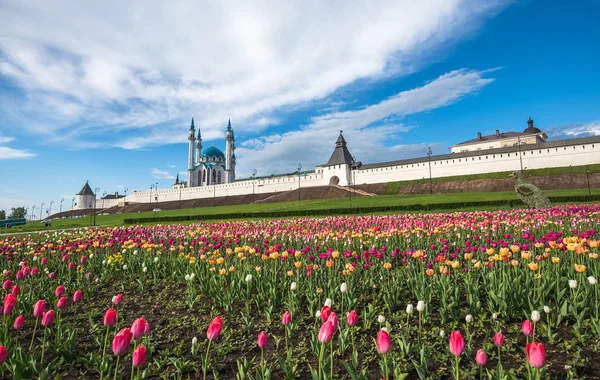 Казанский Кремль и мечеть Кул-Шариф Лицензионные Стоковые Изображения